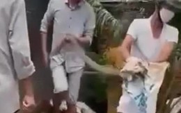 Bị răng rắn hổ mang chúa găm vào tay, 1 người ở Đồng Nai tử vong sau 2 ngày