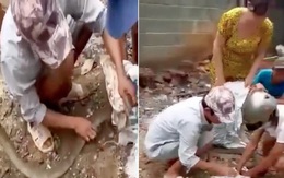 Bắt rắn bò vào nhà hàng xóm, người đàn ông bị rắn cắn chết