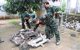 Xác máy bay khu trục quân đội Mỹ nằm dưới ao tôm ở miền Tây