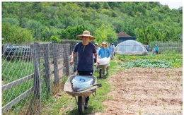 Vợ chồng thạc sĩ bỏ lên núi làm nông, sống "tự cung tự cấp" giữa trang trại