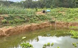 Bé gái 8 tuổi tử vong khi theo bà ngoại vào rẫy chơi