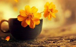 Phải biết trân trọng chính mình
