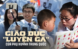 Giáo dục "luyện gà" của phụ huynh Trung Quốc: Khiến con mất hết thanh xuân liệu có giúp chúng "hóa phụng thành rồng"?