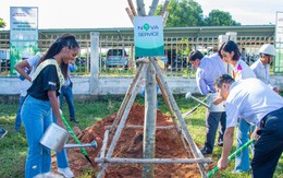 Miss Earth chung tay cùng NovaGroup cải thiện mỹ quan thành phố biển Phan Thiết