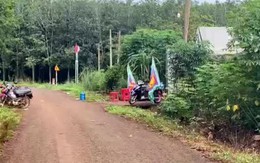 Từ tiếng động vật, phát hiện sự việc thương tâm