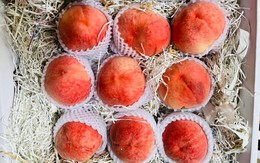 Quá lạ với trái cây Trung Quốc đắt đỏ, dân Việt vẫn ‘xếp hàng’ mua