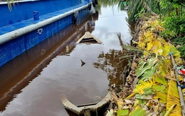 Cần cẩu gãy đè chìm xuồng, một phụ nữ bị thương