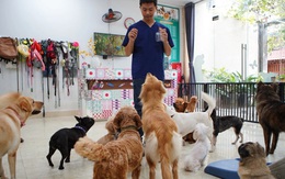 Lạ lùng dịch vụ gửi thú cưng đi... "nhà trẻ" sang chảnh ở Hà Nội