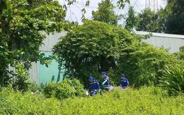 Đi chặt cây phát hiện thi thể treo cổ trong khu công nghiệp