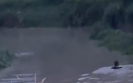 Một thiếu niên ở Đồng Nai bị nước cuốn mất tích