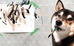 Chú chó có tài vẽ tranh được khắp thế giới đặt mua, giúp chủ kiếm hơn 400 triệu