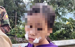 Sơn La: Bắt giữ đối tượng cướp tài sản của bé gái 9 tuổi bán hoa quả ven đường