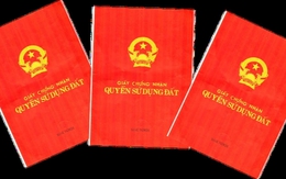 Giám đốc Văn phòng đăng ký đất đai ở An Giang tự tử