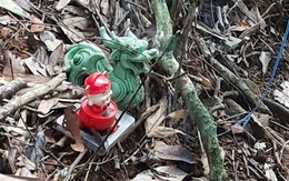 Tình tiết mới gây ngạc nhiên xuất hiện trong vụ 2 bộ xương khô giữa rừng