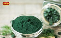 Tảo xoắn Spirulina - Món quà dành cho người viêm loét dạ dày, tá tràng