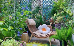 Chỉ tốn 5 tháng, sân thượng 30m² biến thành khu vườn phủ kín hoa tươi vô cùng lãng mạn