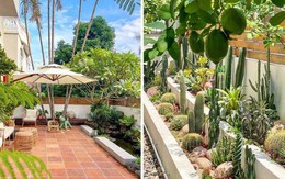 Khoảng sân rộng 170m2 biến thành khu vườn sinh thái tự nhiên, đầy sức sống