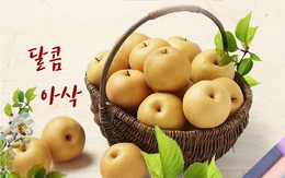 Bảo vệ sức khỏe gia đình mùa dịch bệnh với trái lê Hàn Quốc