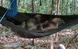 Vụ 2 bộ xương khô giữa rừng: Người đầu tiên phát hiện kể lại giây phút "rợn tóc gáy"