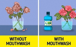 11 mẹo vặt gia đình từ thời ông bà