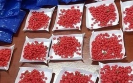 Hai phụ nữ bị bắt cùng 6.000 viên ma túy
