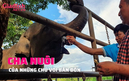 Bảo mẫu của 2 chú voi ở Bản Đôn