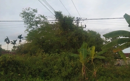 Chặt cây làm cần câu, học sinh lớp 10 bị điện giật tử vong