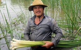 Anh nông dân làm chuyện ngược người khác, không ngờ thu bộn tiền