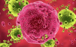 
Nhiễm HIV vì những lần 'dại dột' và cách phòng tránh căn bệnh thế kỷ