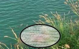 Phát hiện cánh tay người móc vào lưỡi câu ở Bình Dương