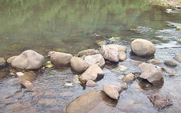 Người đàn ông chết bí ẩn bên bờ suối, mặt hóa đen