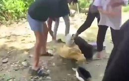 Nữ sinh bị đánh, lột đồ ở Đồng Nai