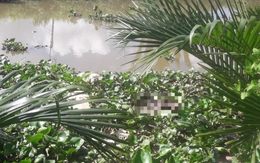 Bé gái sơ sinh còn nguyên dây rốn chết trôi sông