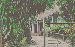 Vợ nhọc công ‘giải bùa yêu’ cho chồng