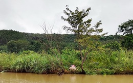 Một cụ ông đuối nước tử vong ở hồ thủy điện Thác Mơ