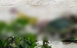 Phát hiện thi thể mắc vào hàng đáy trên kênh ở Bạc Liêu