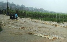 Thanh Hóa: Người đàn ông bị nước lũ cuốn trôi trong lúc đi thăm đồng