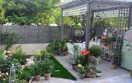 Khu vườn 45m² đậm chất điền viên giữa lòng thành phố