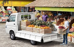 Từng nợ nần chồng chất, thiếu gia 'sa cơ lỡ vận' đi bán hoa quả kiếm 300 triệu đồng trong 10 ngày trước Tết: Thành công trong kinh doanh của tôi là nhờ từ yếu tố này