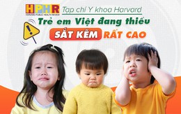 Tạp chí Y Khoa Harvard - Trẻ em Việt Nam thiếu sắt kẽm cao, cần chú ý vấn đề này để nâng cao sức khỏe trong năm mới