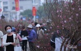 Kế hoạch cho giây phút vẹn toàn ngày giáp Tết