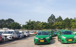 Tài xế taxi ở sân bay Tân Sơn Nhất phấn khởi khi có bãi đỗ xe miễn phí