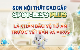 Nippon Spot-less Plus - Lá chắn bảo vệ tổ ấm trước vết bẩn và virus