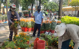 TPHCM: Nhiều tiểu thương cắt bỏ hoa để lấy chậu chiều 30 Tết