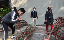 Tiểu thương vứt bỏ cành đào, khách điều ô tô đến chở về nhà