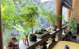 'Tết chữa lành' trong căn biệt thự hơn 300m2 giữa phố cổ Hà Nội