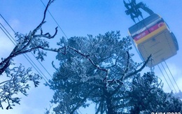 Chiều mùng 3 Tết, băng tuyết xuất hiện tuyệt đẹp trên núi Hoàng Liên Sơn