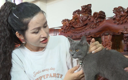 Thú vị với cách nuôi mèo của người dân đảo ngọc Phú Quốc