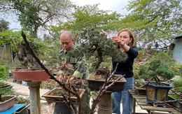 Vợ chồng bỏ nhà cửa khang trang, ra giữa cánh đồng chăm cây cảnh