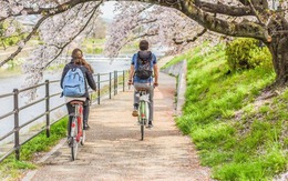 Nhật Bản: Chuyện về chiếc xe đạp và những luật lệ kỳ lạ, mua xe cũ khó khăn hơn tậu nhà mới